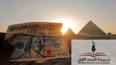 قفزة مفاجئة في سعر الدولار مقابل الجنيه.. ما الأسباب؟ - جريدة العدد الأول