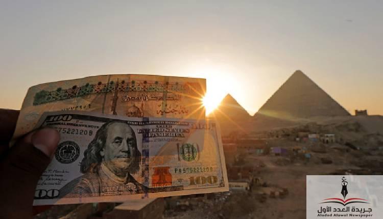 قفزة مفاجئة في سعر الدولار مقابل الجنيه.. ما الأسباب؟ - جريدة العدد الأول