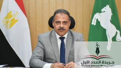 محافظ الشرقية يصدر قراراً بتعيينات في محليات المراكز والمدن بالشرقية - جريدة العدد الأول