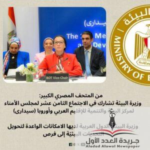 ياسمين فؤاد..أولويات الدول العربية والأفريقية في قلب مهمتي الجديدة خلال المرحلة القادمة