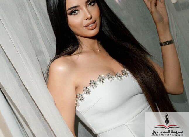 زفاف ملكة جمال مصر شاهي حمدي