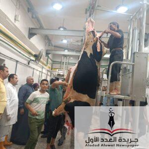 بدء التشغيل التجريبي لمجزر دكرنس بتكلفة تقارب 32 مليون جنيه
