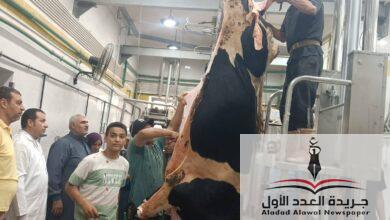 بدء التشغيل التجريبي لمجزر دكرنس بتكلفة تقارب 32 مليون جنيه