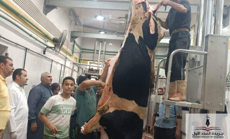 بدء التشغيل التجريبي لمجزر دكرنس بتكلفة تقارب 32 مليون جنيه