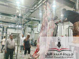 محافظ الدقهلية: المجازر الحكومية تواصل أعمال الكشف وذبح الأضاحي على مدار اليوم