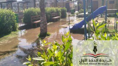 متابعة رئيس مركز ومدينة المنزلة بالدقهلية لأعمال النظافة يوميا