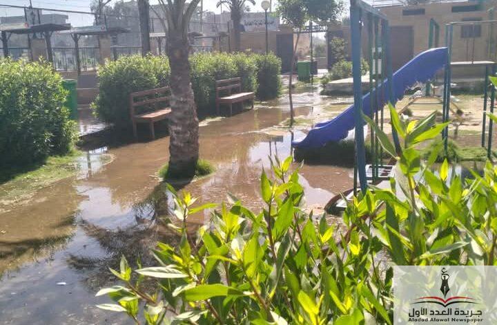 متابعة رئيس مركز ومدينة المنزلة بالدقهلية لأعمال النظافة يوميا