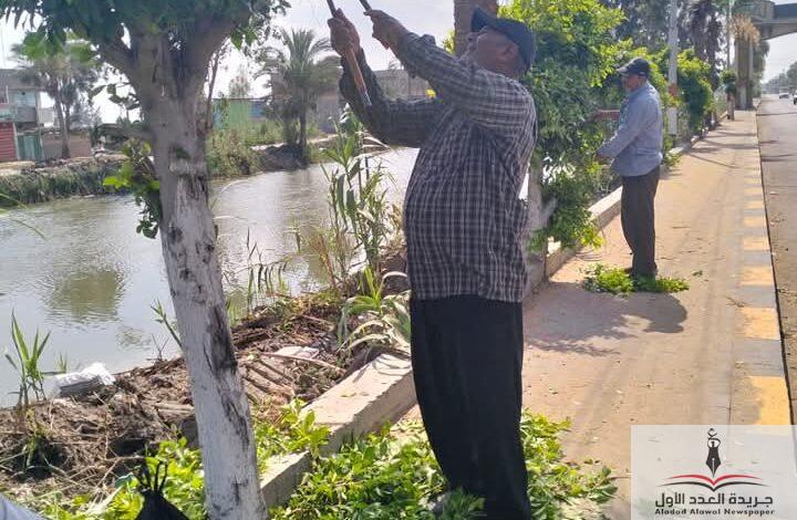 متابعه مجلس مدينة المنزلة الدقهلية بالاهتمام للمظهر الجمالى والحضارى