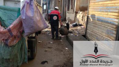تابع رئيس مركز مدينة المنزلة الدقهلية اعمال النظافة وتحسين البيئة
