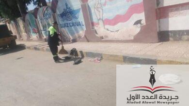 متابعة رئيس مركز ومدينة المطرية الدقهلية لرفع كفاءة النظافة
