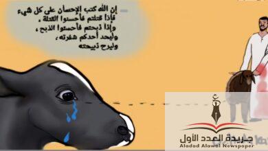 إن الله كتب الإحسان على كل شيء.. إذا ذبحتم فأحسنوا الذبح - جريدة العدد الأول