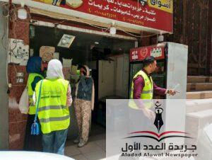 الكيانات الشبابية بالدقهلية تواصل العمل الميدانى لرفع الوعي البيئي بين المواطنين 