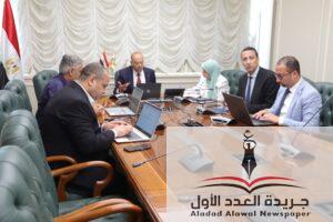 وزير العمل يوجه أعضاء مكاتب التمثيل بالخارج بتوفير فرص عمل للشباب المصري 
