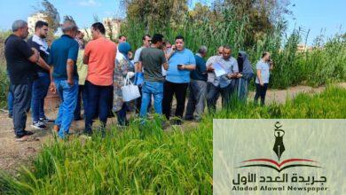 محافظ الدقهلية يكلف لجنة فنية للمرور والمعاينة على الطبيعة لمواقع انشاء المشروعات الاستثمارية