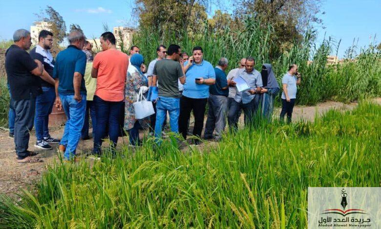 محافظ الدقهلية يكلف لجنة فنية للمرور والمعاينة على الطبيعة لمواقع انشاء المشروعات الاستثمارية 