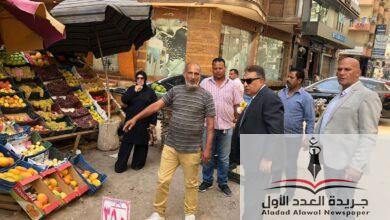 محافظ الدقهلية رفع كافة الإشغالات بمنطقة القرية الأولمبية وبوابة توشكى