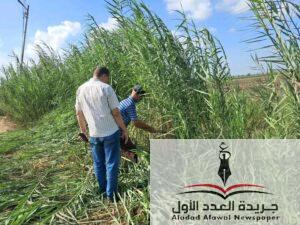 تفقد رئيس المركز أعمال النظافة بشوارع المدينة اليوم الإثنين الموافق ٨ سبتمبر لعام٢٠٢٥م.