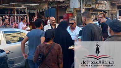 محافظ الدقهلية يتفقد شوارع وميادين والحدائق ويشدد على الانضباط ورفع الكفاءة