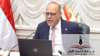 وزير العمل: الخميس المقبل إجازة رسمية مدفوعة الأجر للعاملين بالقطاع الخاص بمناسبة ذكرى المولد النبوي الشريف