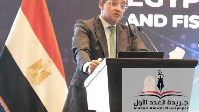 وزير المالية شراكة قوية مع القطاع الخاص لدعم النمو