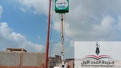 عمل حمله للصيانه للكهرباء بمركز مدينه المنزله بمحافظه الدقهليه