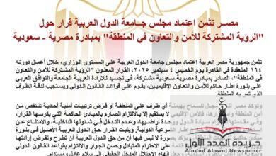 مصر تثمن اعتماد مجلس جامعة الدول العربية