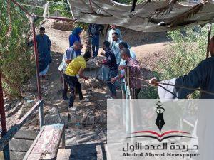 عبارة برديس